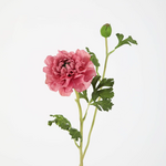 -- C&G - Zinnia Spray 71cm roze/fuchsia