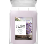YANKEE CANDLE YANKEE CANDLE - Geurkaars Dried Lavender & Oak