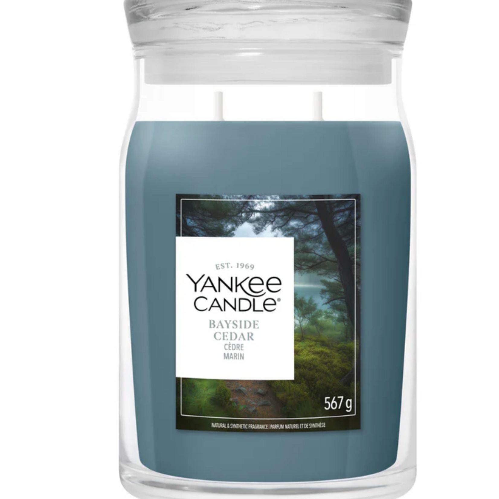 YANKEE CANDLE YANKEE CANDLE - Geurkaars Bayside Cedar