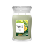YANKEE CANDLE YANKEE CANDLE - Geurkaars Sage & Citrus