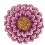 -- Wanddecoratie bloem paars 19x19x4,5cm