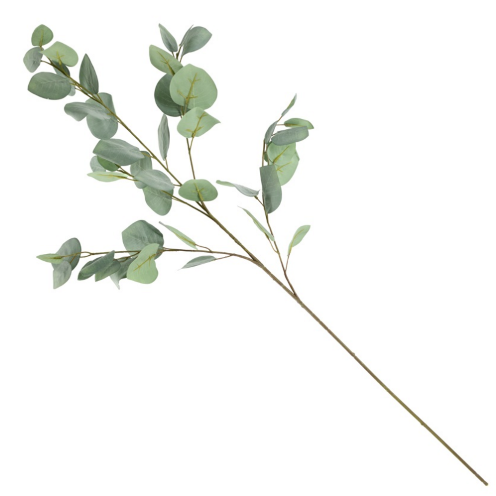 KOLONY Kunsttak eucalyptus 95cm groen