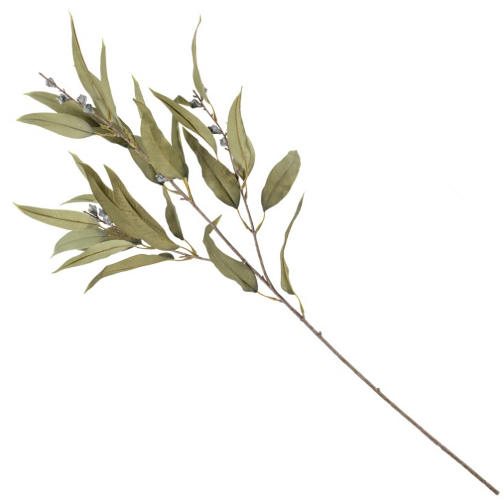 KOLONY Kunstbloem eucalytpus 103cm groen