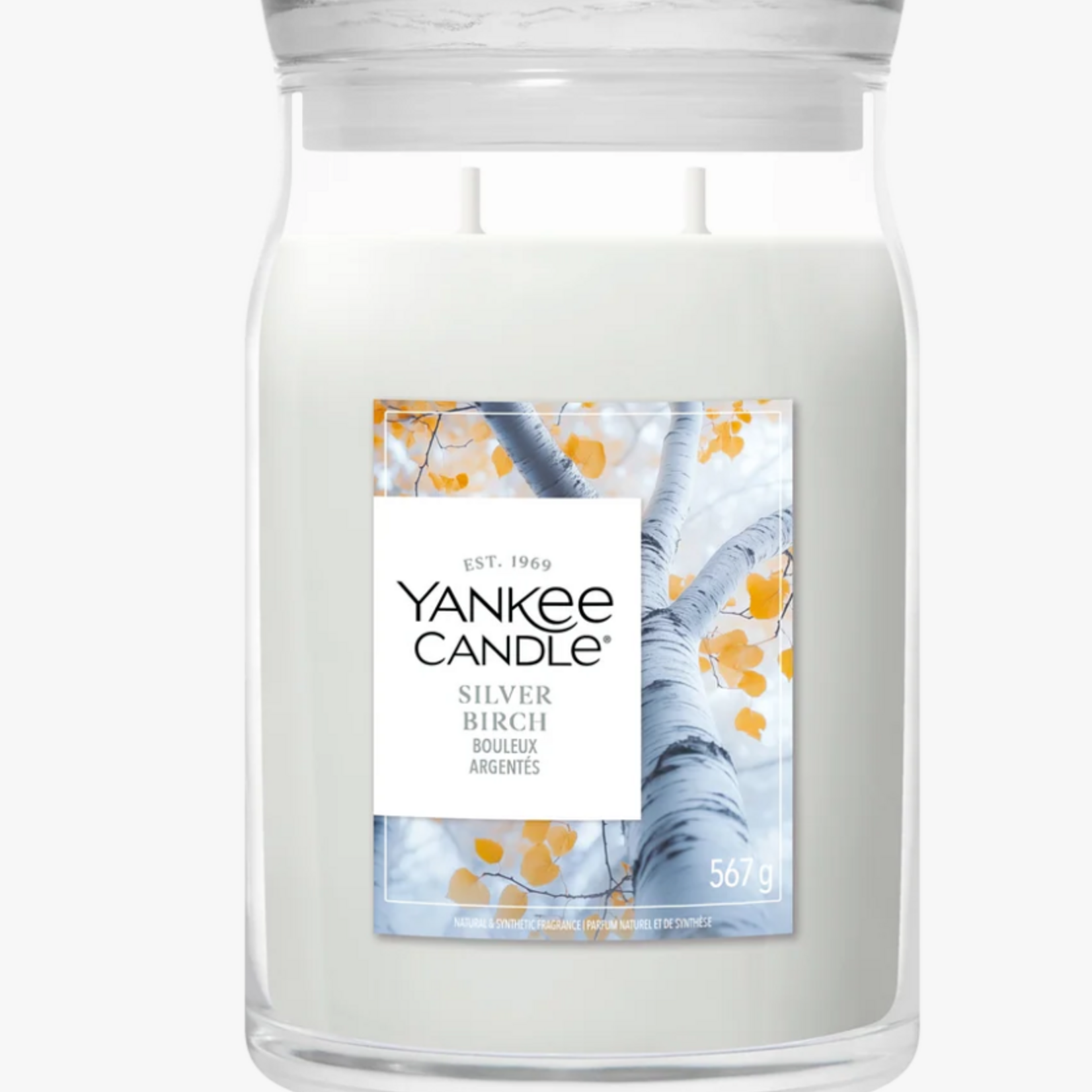 YANKEE CANDLE YANKEE CANDLE - Geurkaars Silver Birch