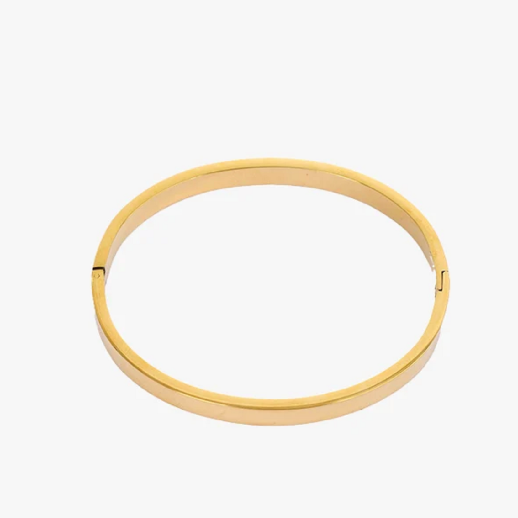 -- Bold Bangle goudkleur stainless steel
