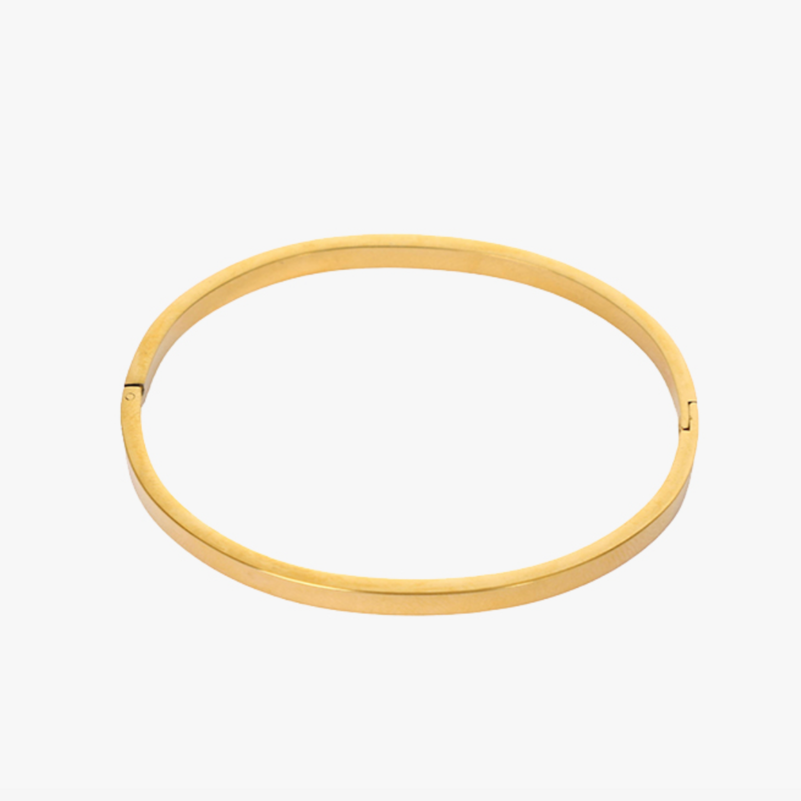 -- Classis Bangle goudkleur stainless steel