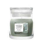 YANKEE CANDLE YANKEE CANDLE - Geurkaars Silver Sage & Pine