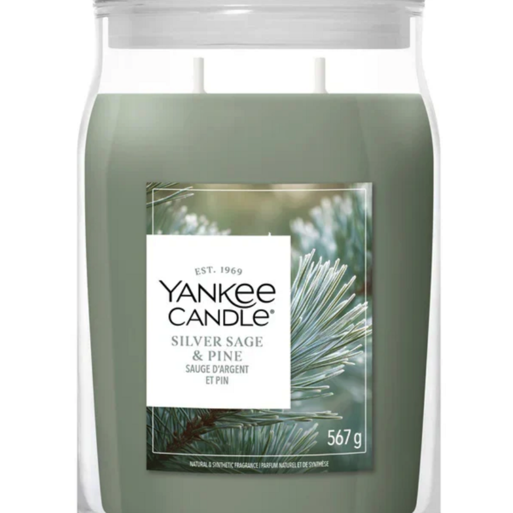 YANKEE CANDLE YANKEE CANDLE - Geurkaars Silver Sage & Pine
