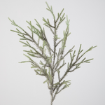 -- C&G - CedarJapanese Stem 97cm