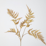 -- C&G - Vaarn/palm Dragon Claws 97cm