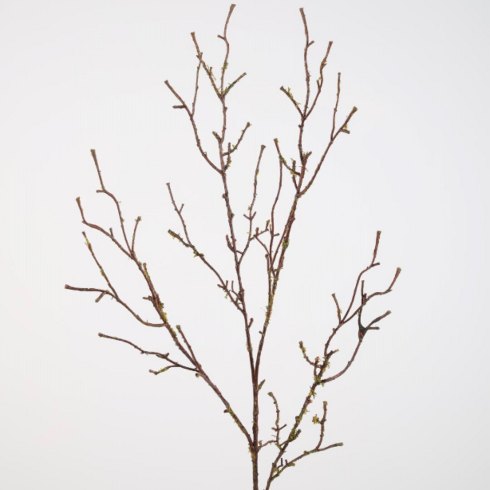 -- C&G - Twig Branch 90cm