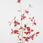 -- C&G - Brasiliana Leaf Spray 115cm