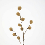 -- C&G - Clover Spray 79cm bruin/naturel