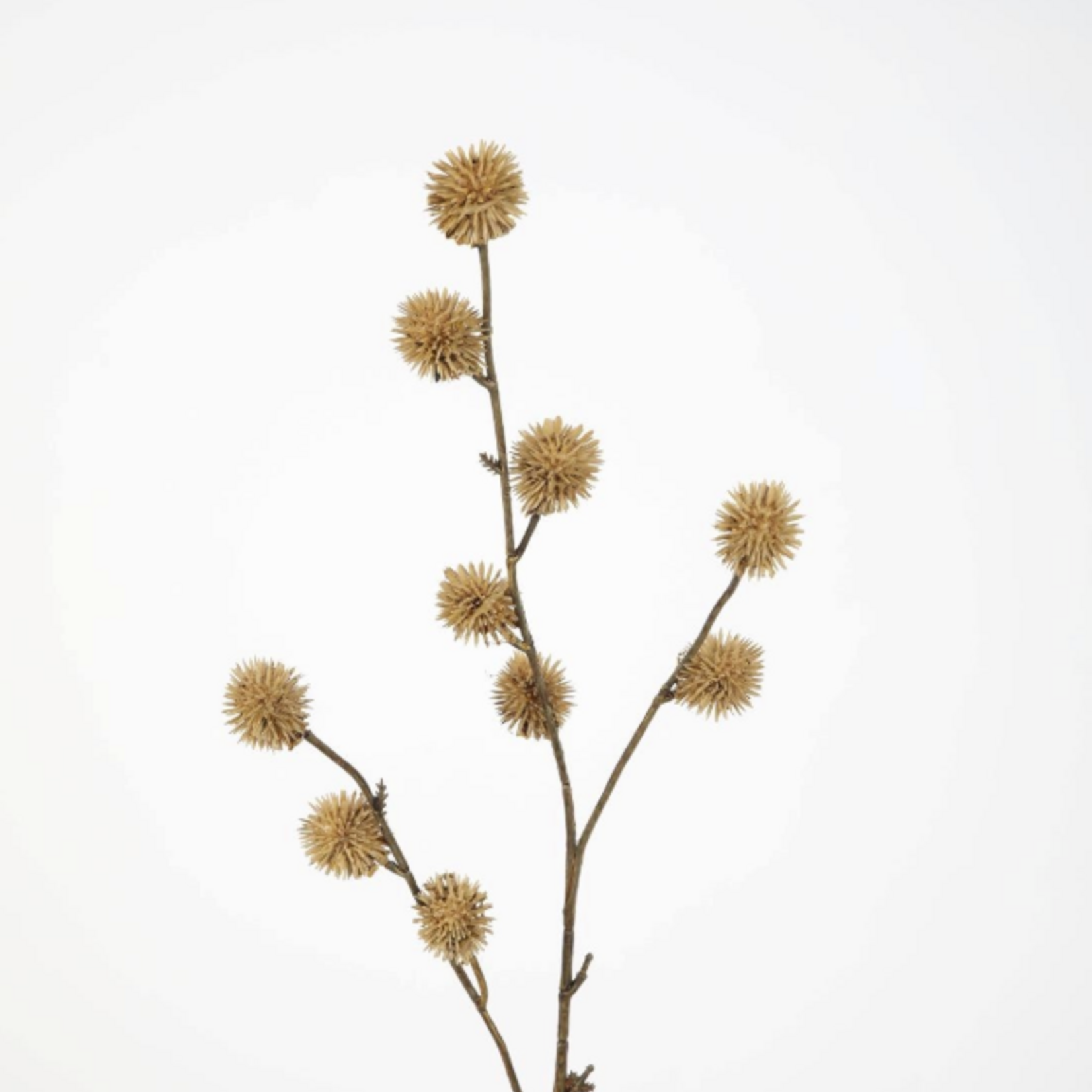 -- C&G - Clover Spray 79cm bruin/naturel
