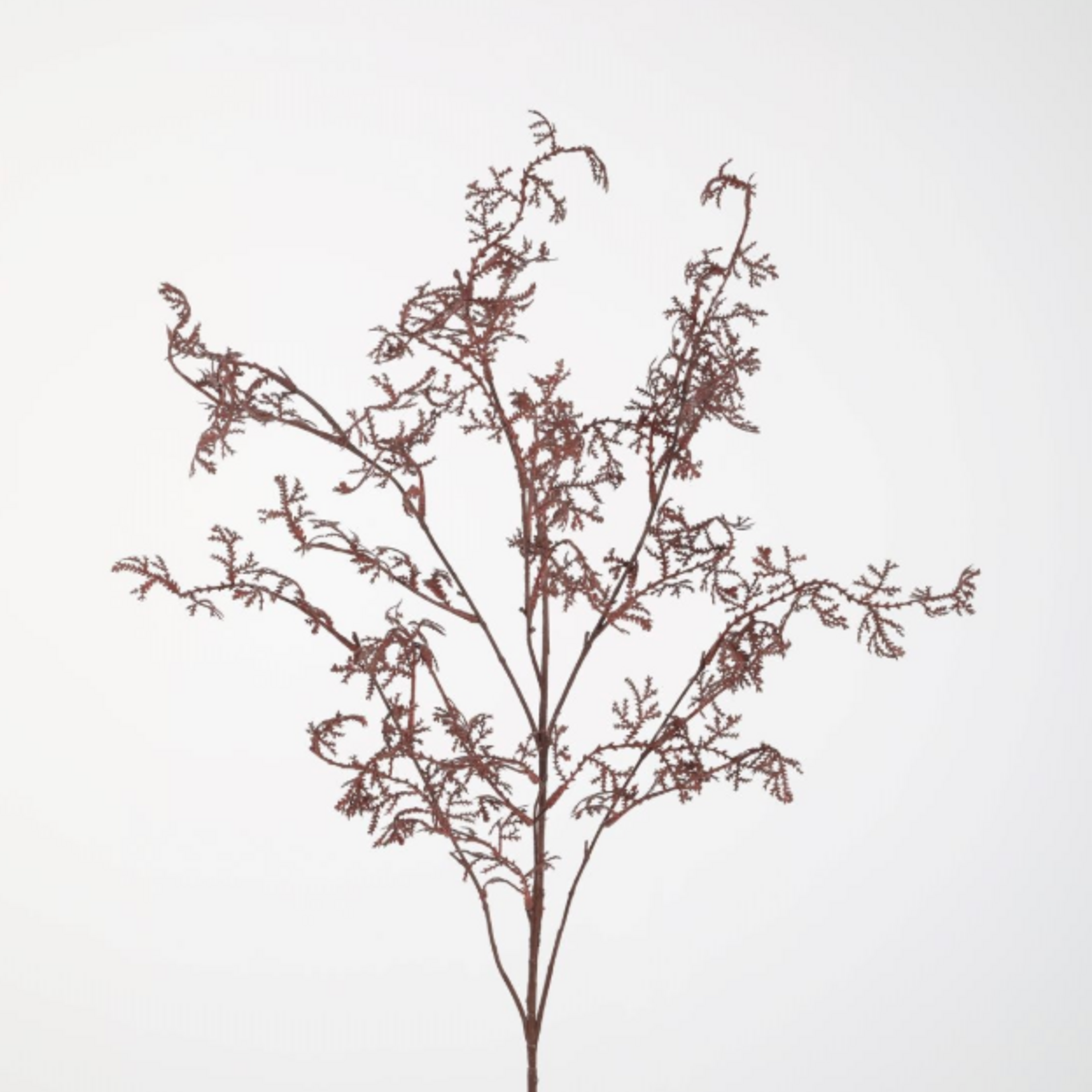 -- C&G - Fern Spray 107cm bordeaux