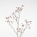 -- C&G - Berry Spray 102cm bruin
