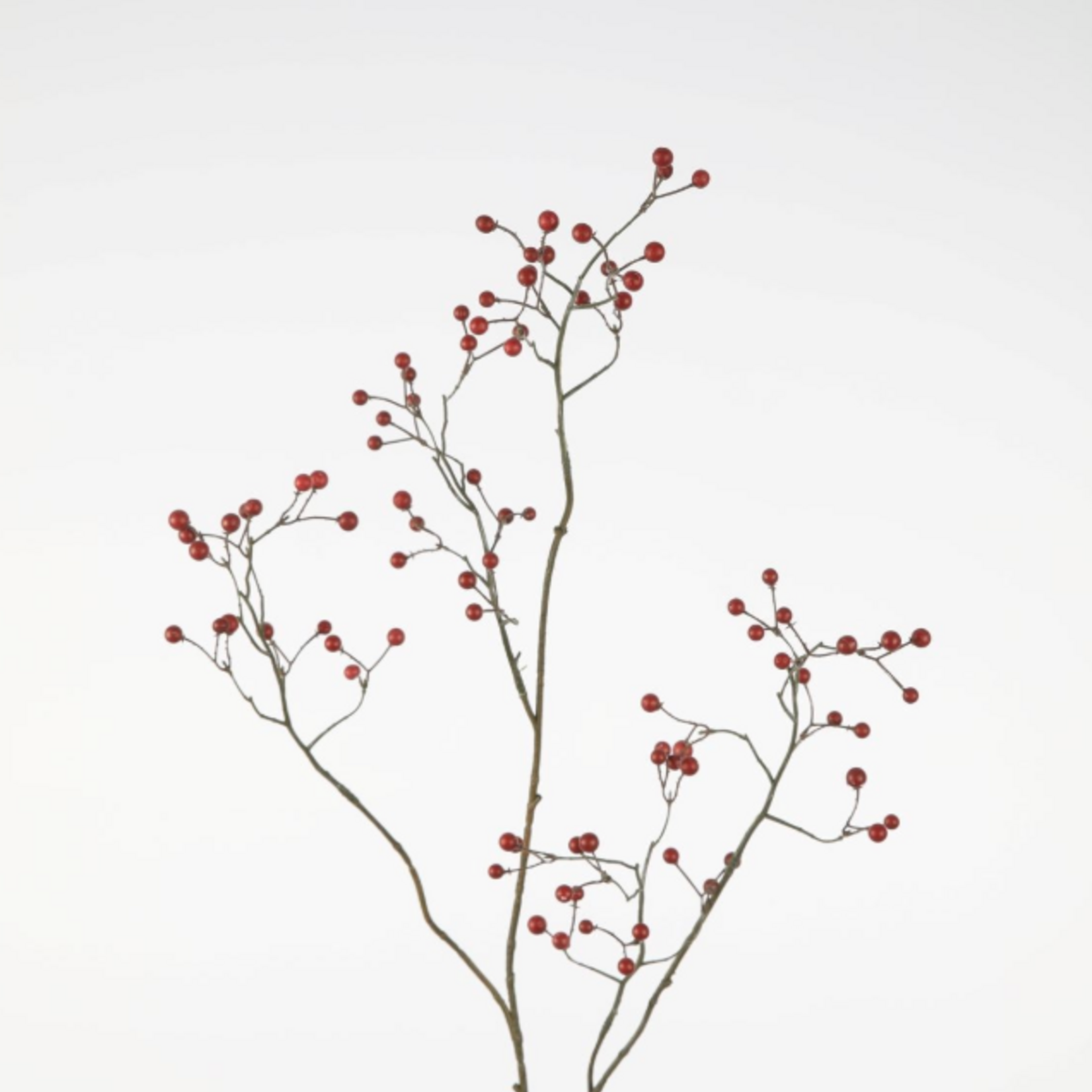 -- C&G - Berry Spray 102cm bordeaux