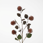 -- C&G - Thistle Spray 87cm bruin