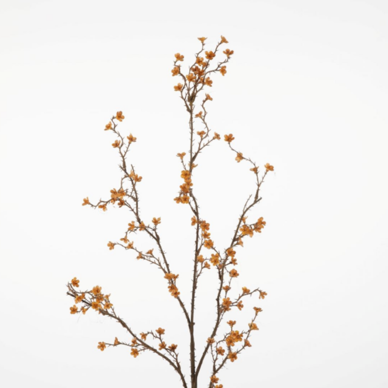 -- C&G - Little Wildflowers Stem 109cm bruin/naturel