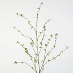 -- C&G - Mini Green LVS Spray 117cm