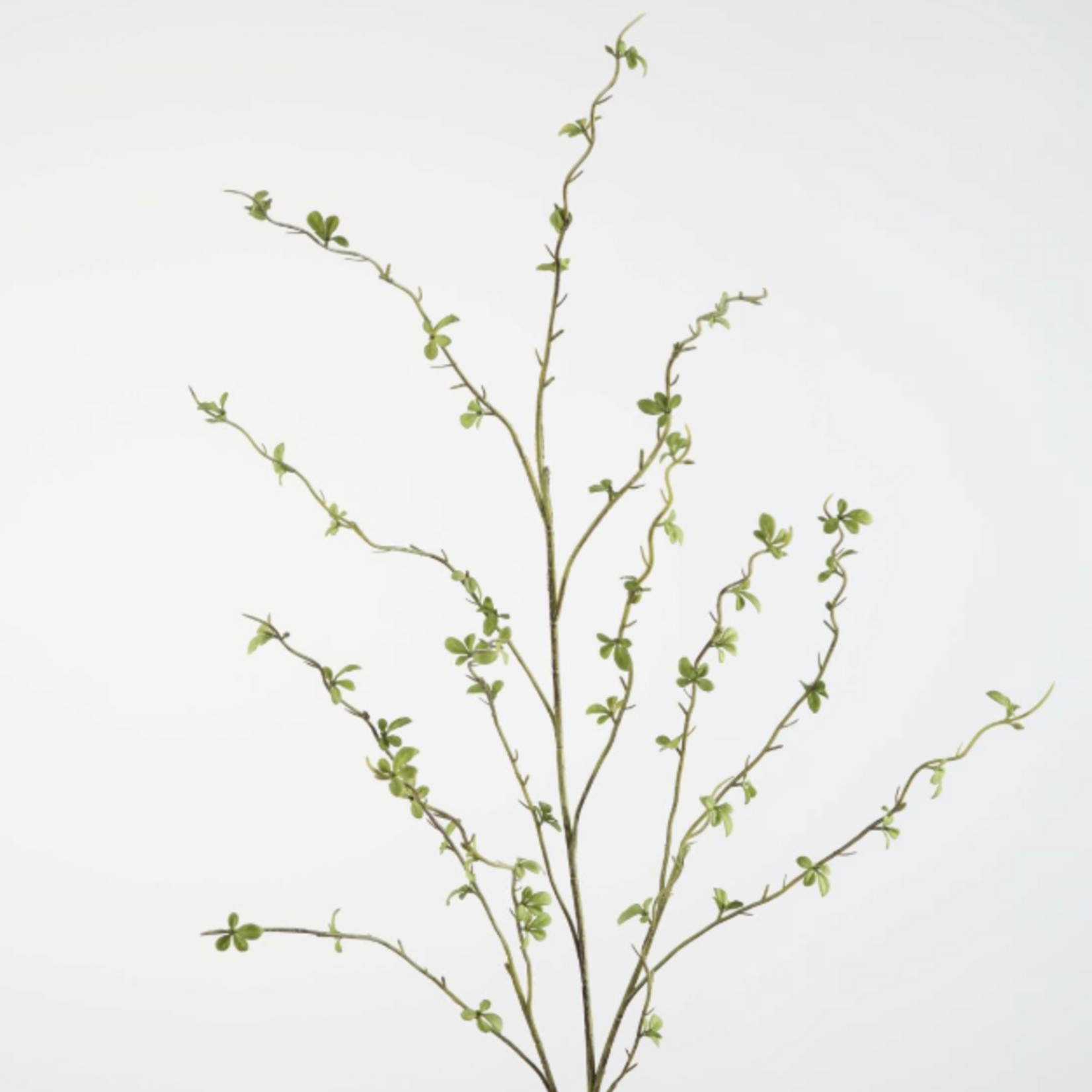 -- C&G - Mini Green LVS Spray 117cm