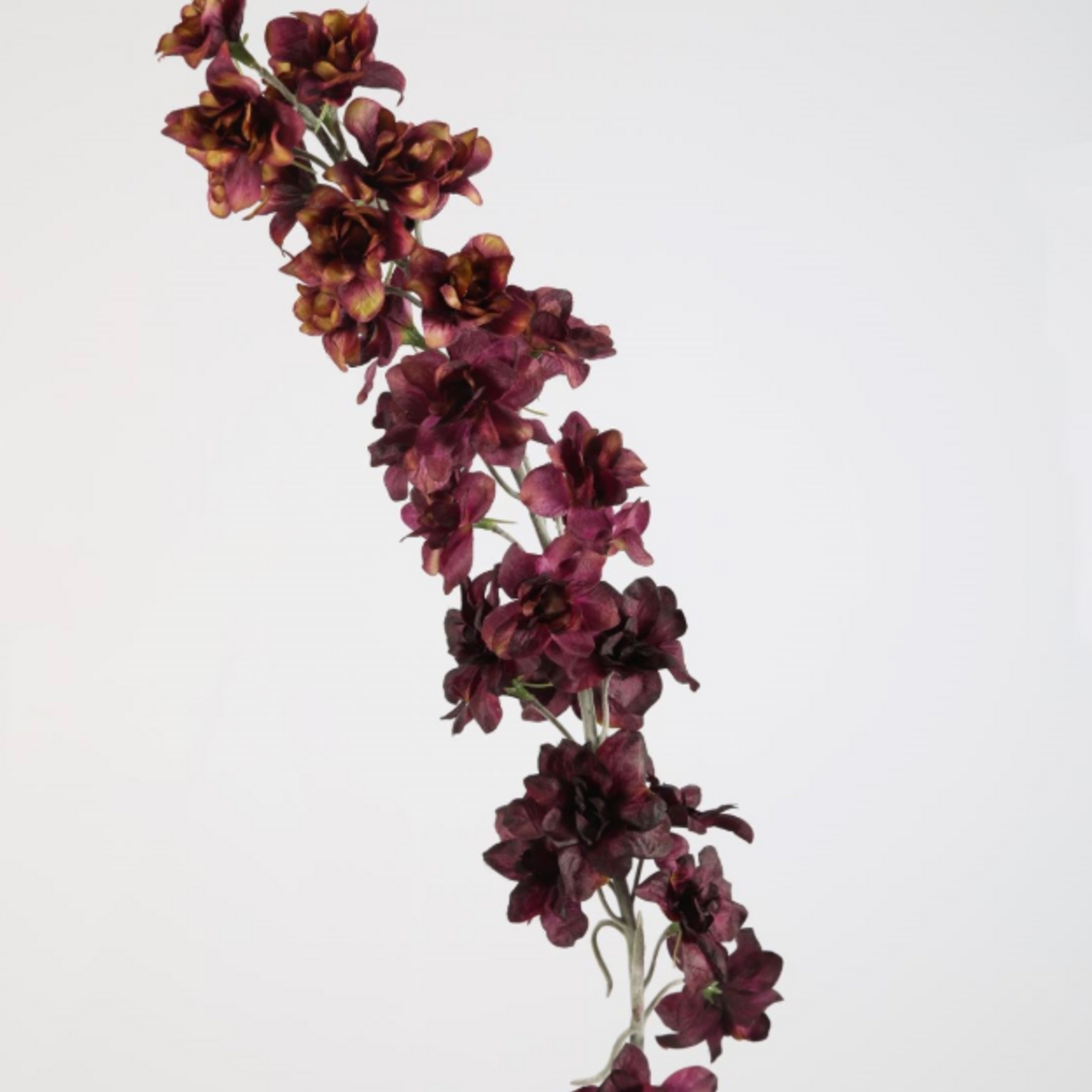-- C&G - Delphinium Stem 110cm paars