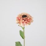 -- C&G - Zinnia stem roze