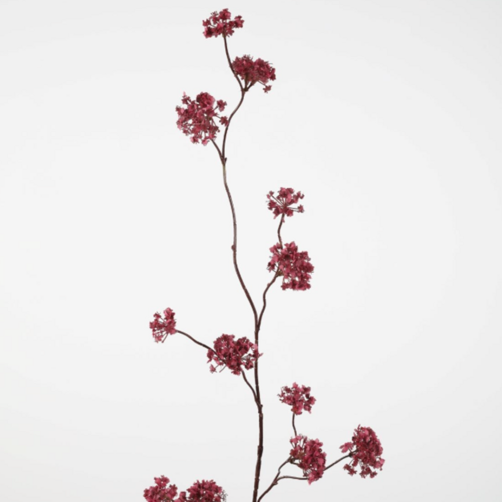 -- C&G - Verbena spray 100cm fuchsia