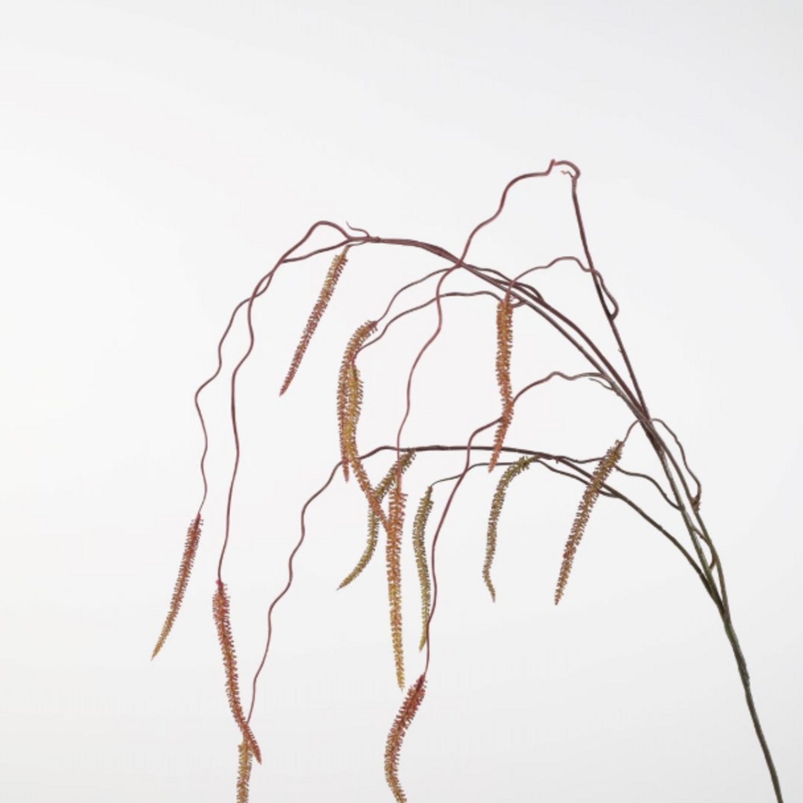 -- C&G - Willow Catkin 155cm groen/bruin