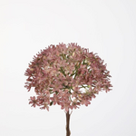-- C&G - Allium stem 46cm paars