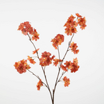 -- C&G - Cherry Blossom Spray 114cm oranje