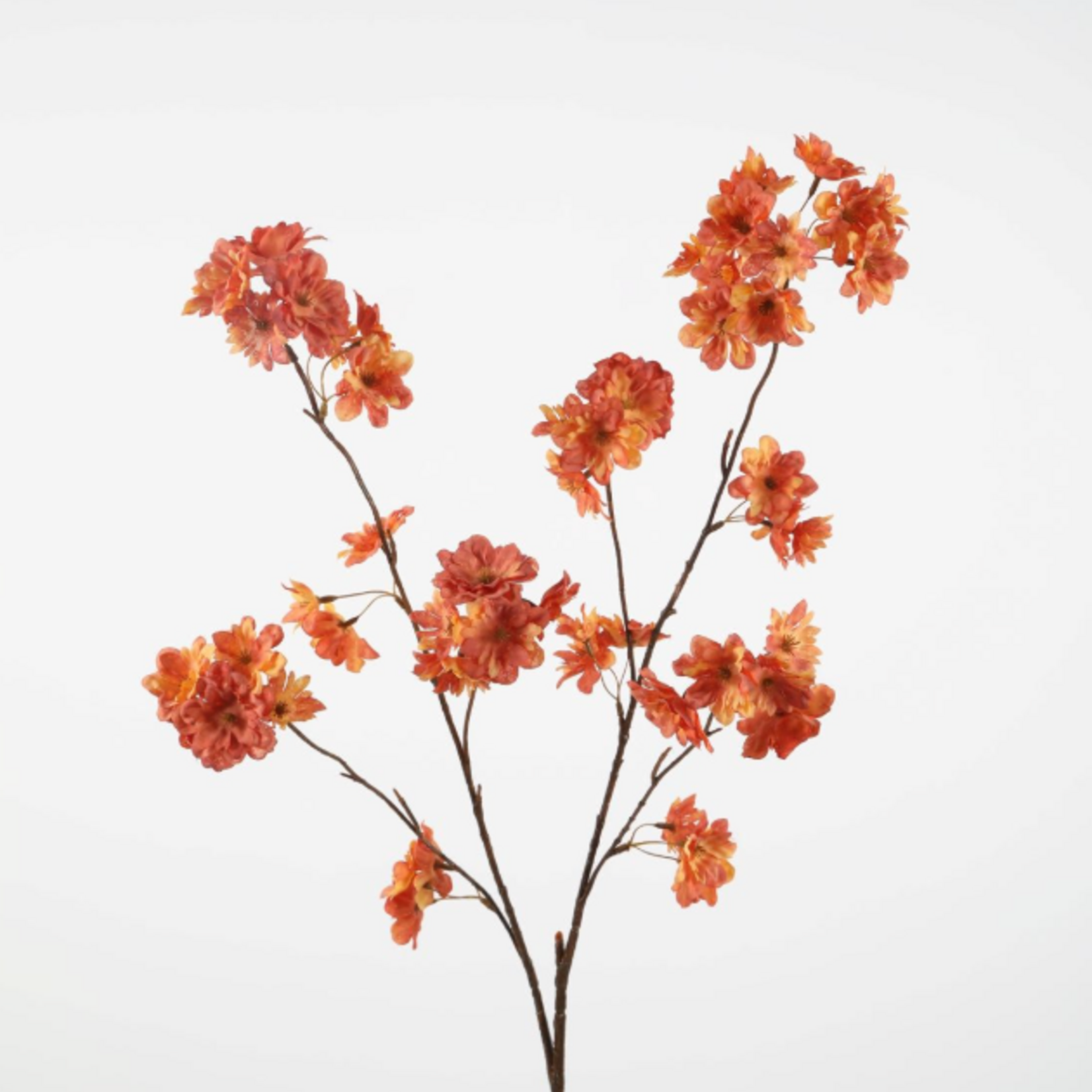-- C&G - Cherry Blossom Spray 114cm oranje