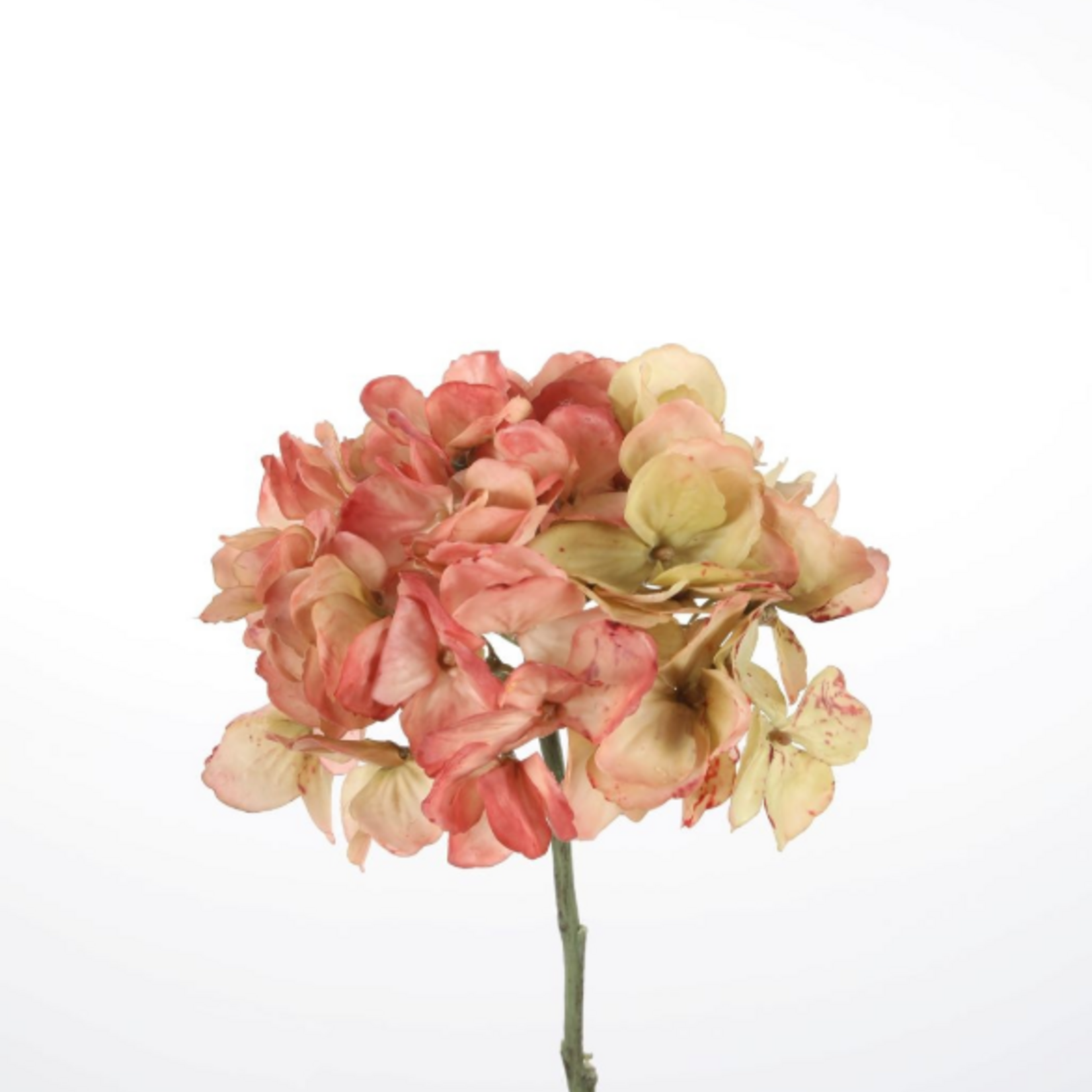 -- C&G - Hydrangea single stem 67 real touch /hortensia mauve/groen