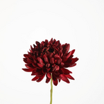 -- C&G - Spider mumstem 72cm burgundy