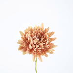 -- C&G - Spider mum stem 72cm  zalm