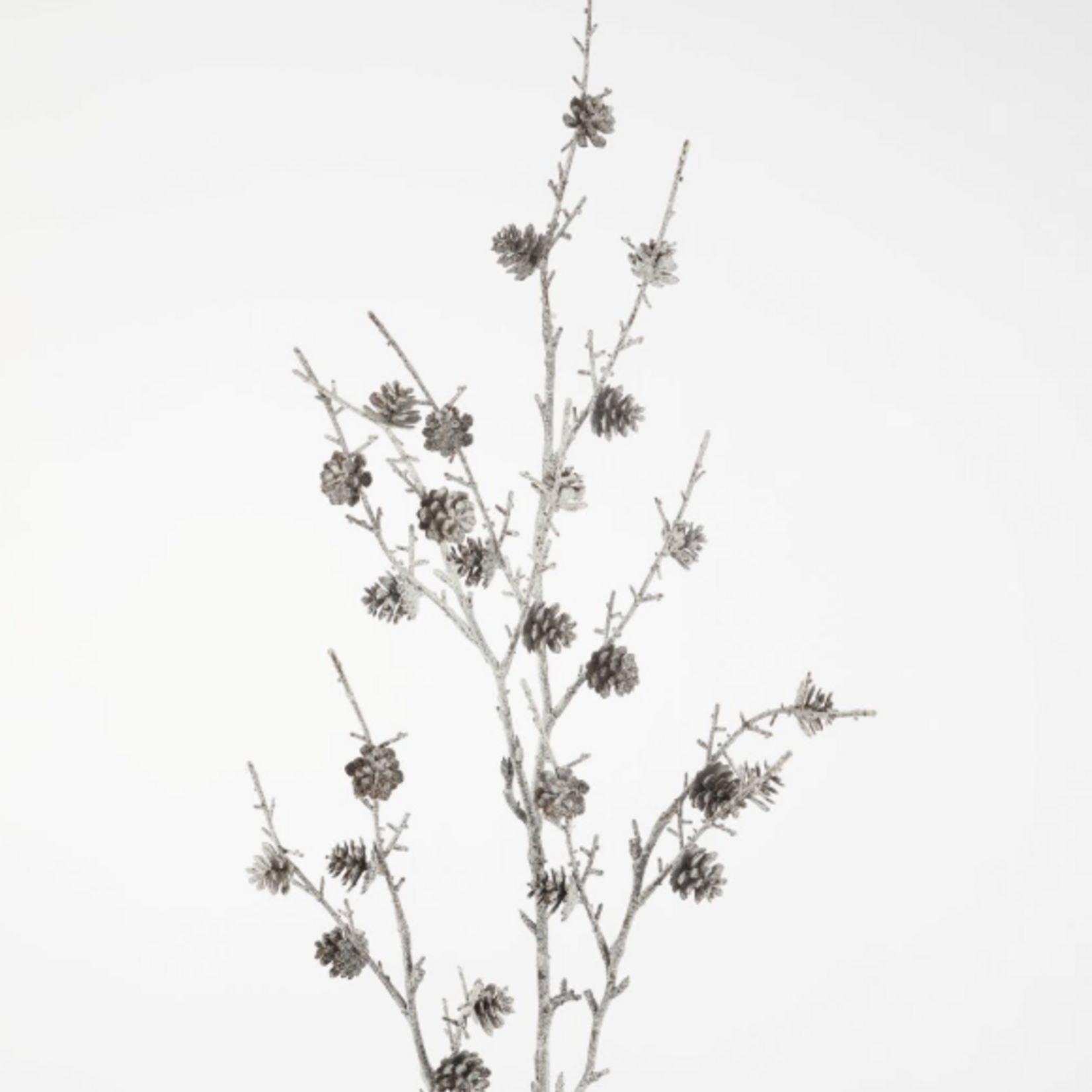 -- C&G - Small Pine Cone Spray 122cm