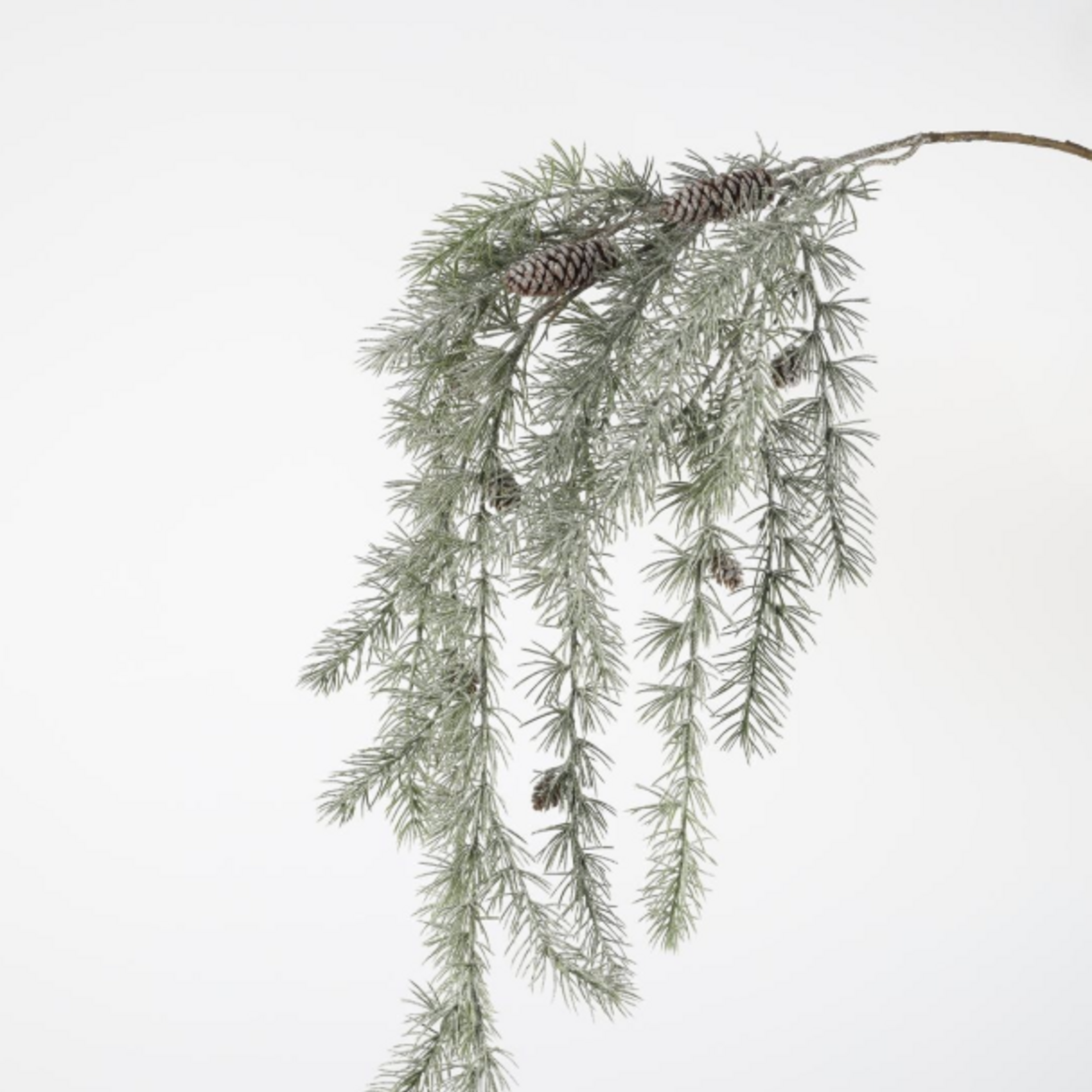 -- C&G - Frosted pine vine 112cm