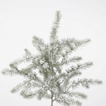 -- C&G - Snowed Long Pine Stem 91cm