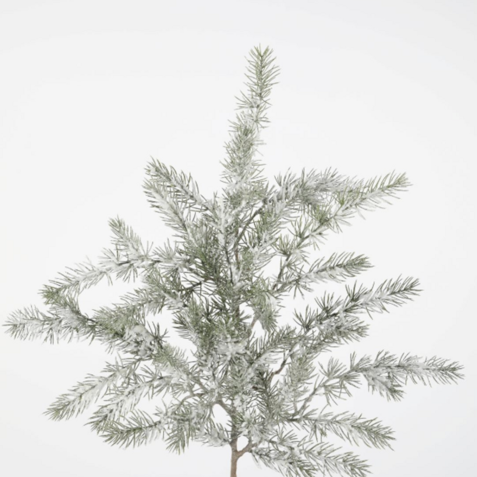 -- C&G - Snowed Long Pine Stem 91cm