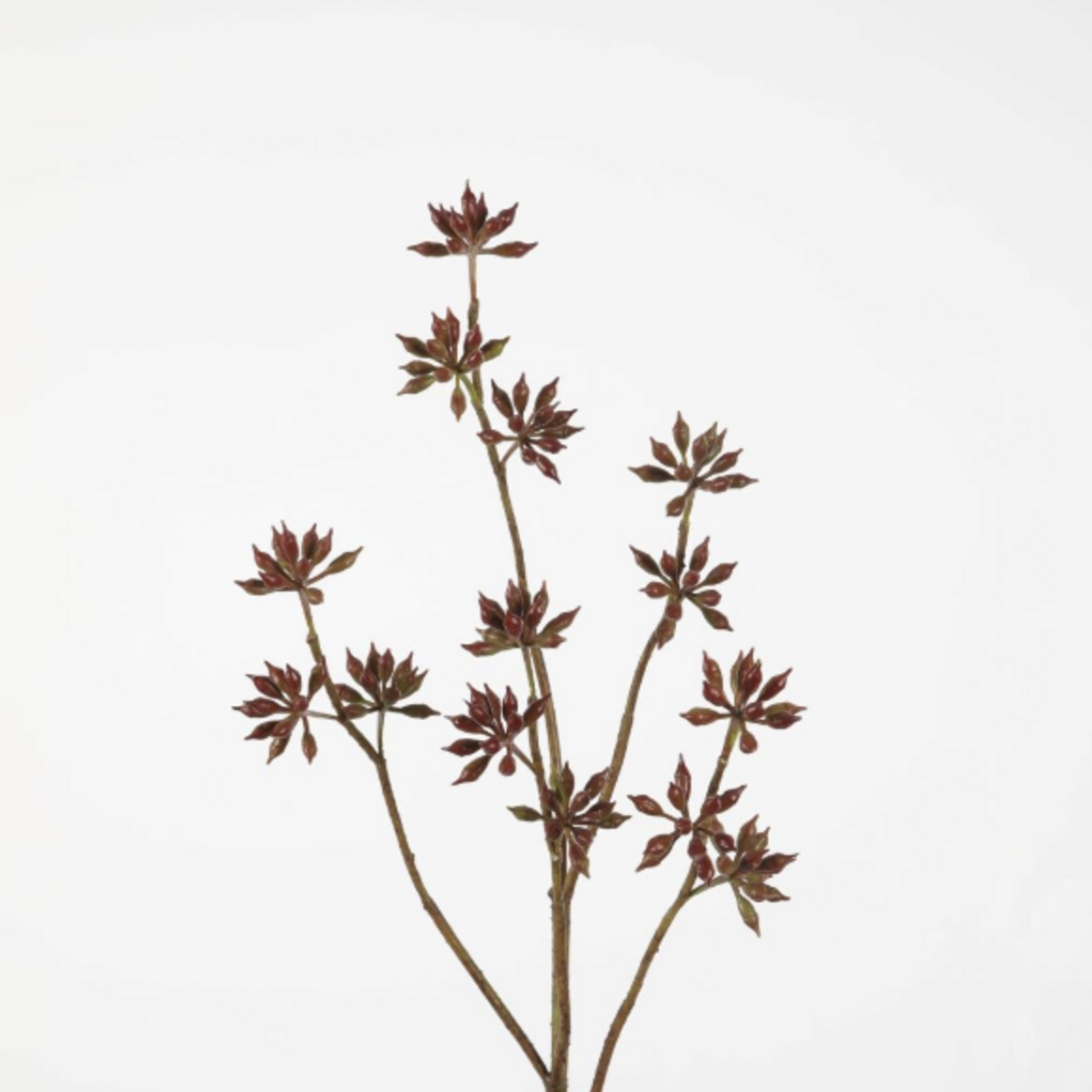 -- C&G - Eucalyptus Bud Spray 86cm