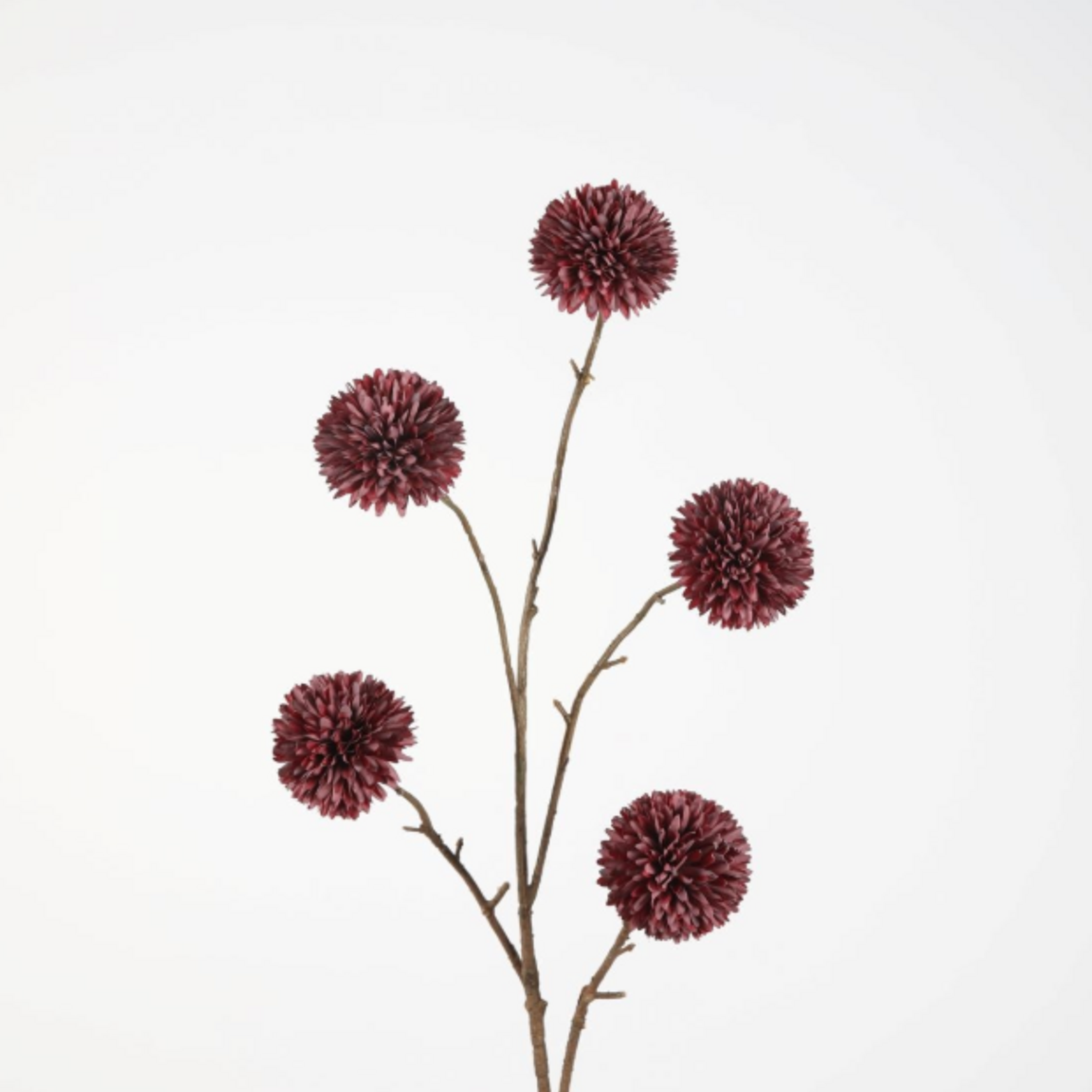 -- C&G - Pompon Chrysanth 100cm paars