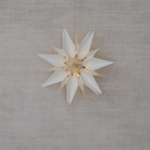 -- HS - Kerstster Paper Star Rud S LED gebroken wit