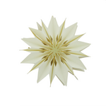 -- HS - Kerstster Paper Star Rob S LED gebroken wit
