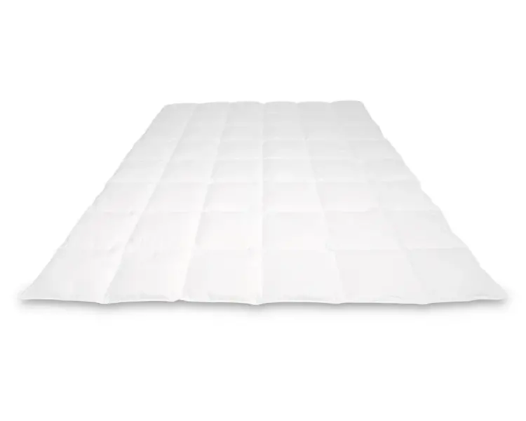 Cassenz Cassenz dekbed Rembrandt zomer