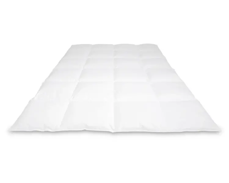 Cassenz Cassenz dekbed Rembrandt winter