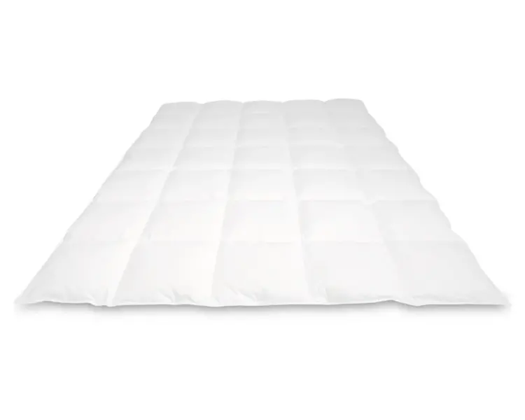 Cassenz Cassenz dekbed Rembrandt voor- / najaar