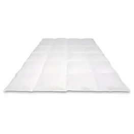Cassenz Cassenz dekbed Vermeer winter