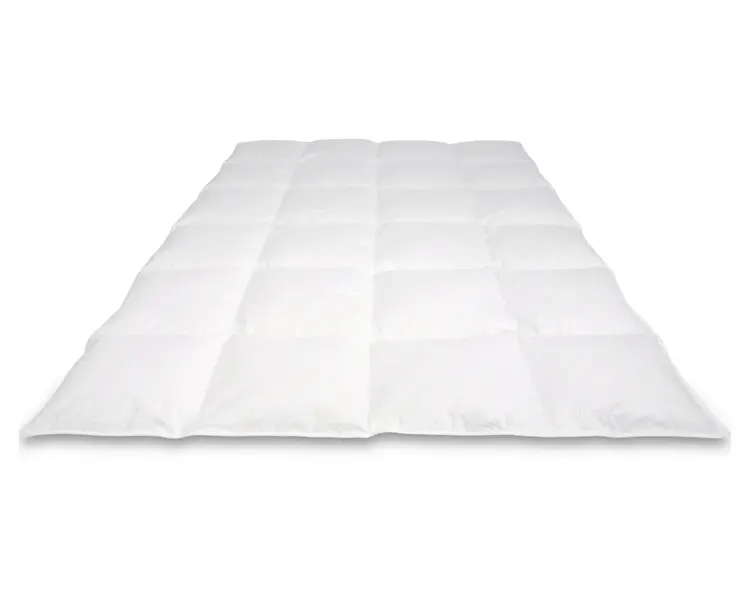 Cassenz Cassenz dekbed Vermeer winter