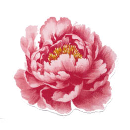 Abyss Habidecor Abyss Habidecor Pivoine badmat  (573) Ø100