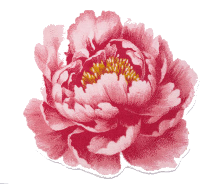 Abyss & Habidecor Abyss Habidecor Pivoine badmat  (573) Ø100